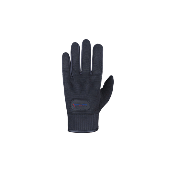 Winter Gloves
